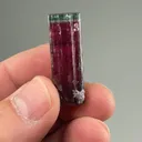 Elbaite from Cruzeiro mine, São José da Safira, Minas Gerais, Brazil - image 2