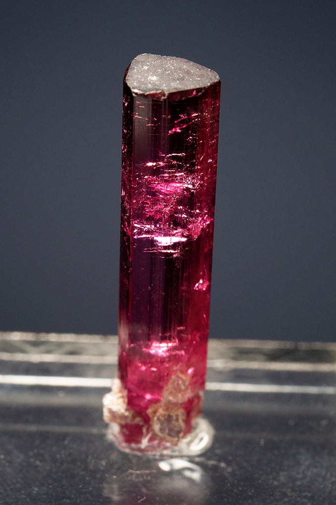 Elbaite from Cruzeiro mine, São José da Safira, Minas Gerais, Brazil - image 3