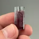 Elbaite from Cruzeiro mine, São José da Safira, Minas Gerais, Brazil - image 2