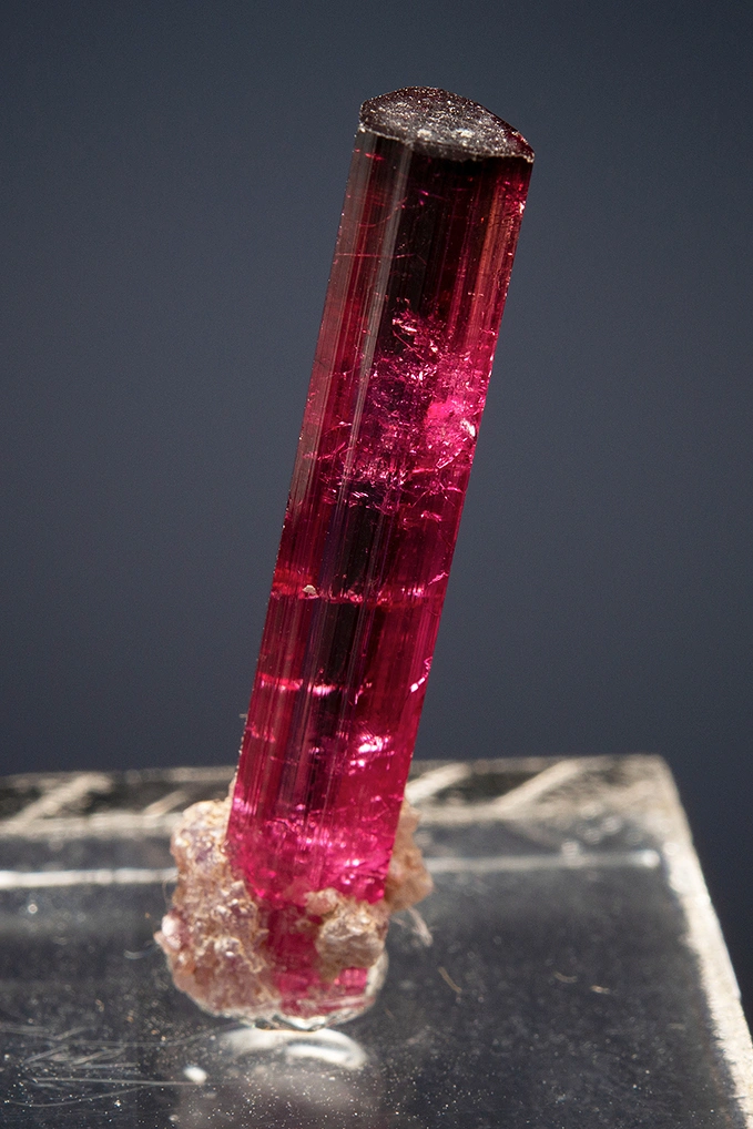 Elbaite from Cruzeiro mine, São José da Safira, Minas Gerais, Brazil - image 2