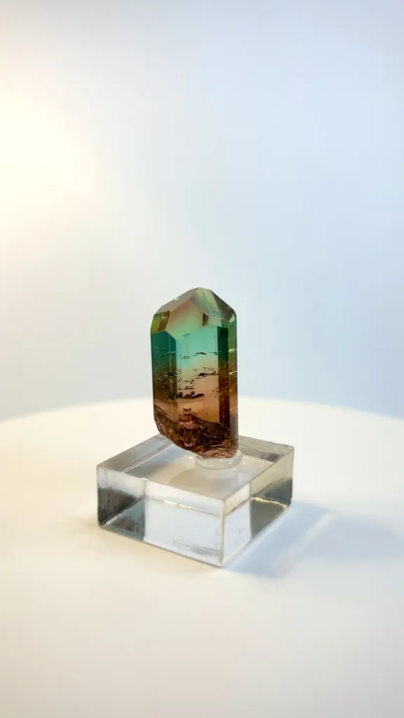 specimen video