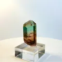 specimen video