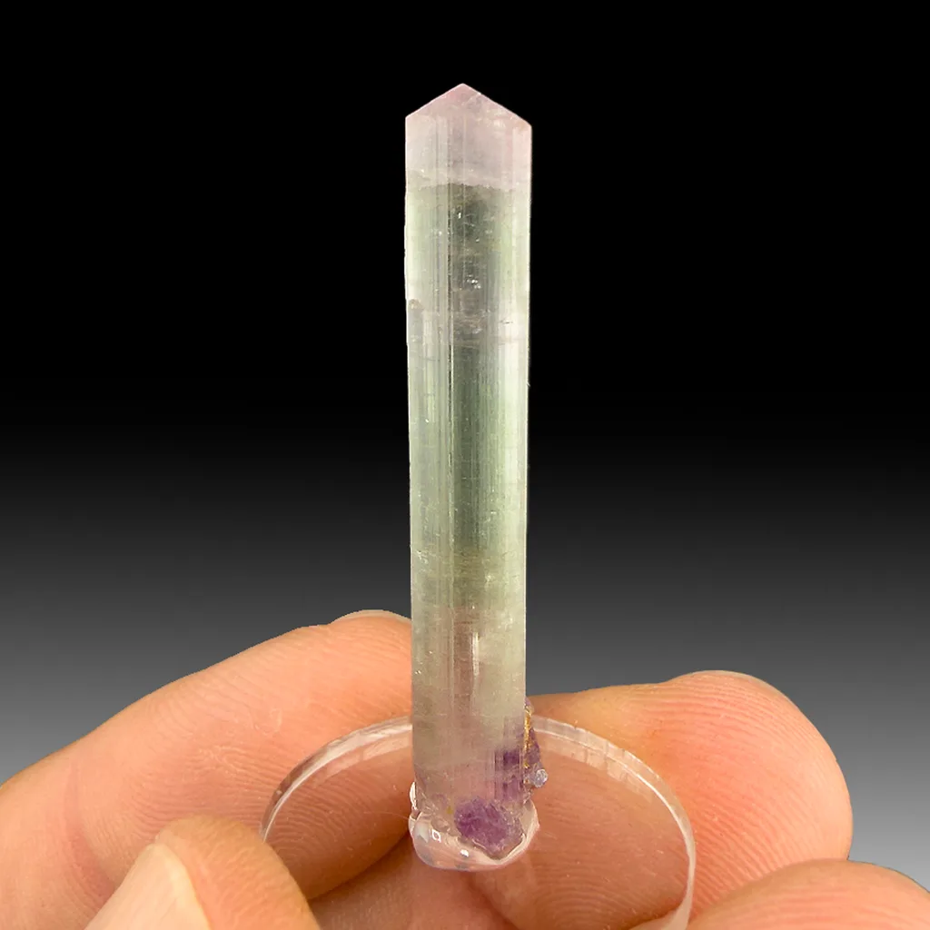Elbaite from Himalaya Mine, San Diego County, California, USA - image 1