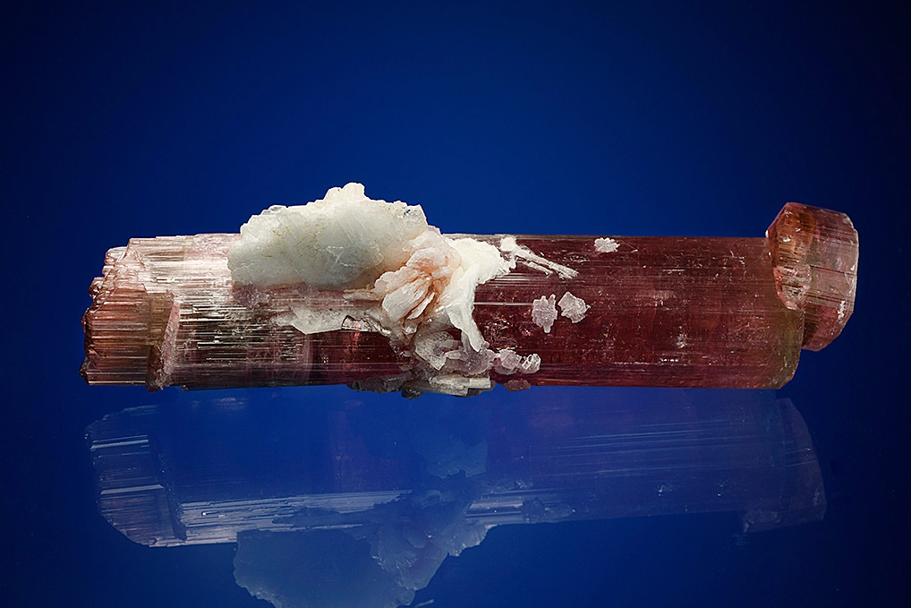 Elbaite from Himalaya Mine, San Diego County, California, USA - image 2