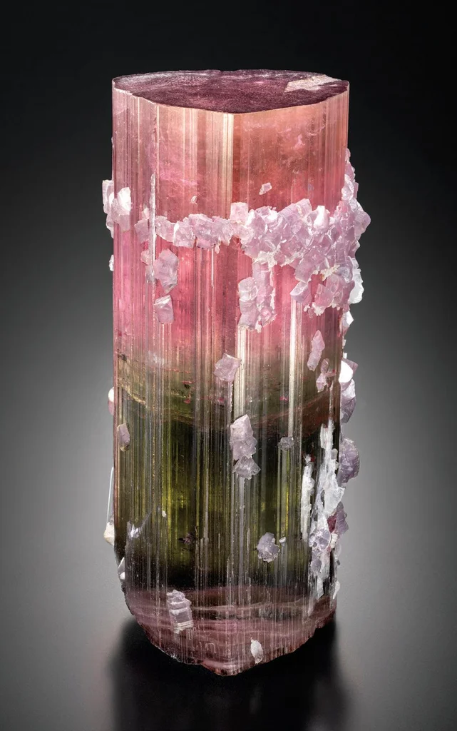 Elbaite from Himalaya Mine, San Diego County, California, USA image