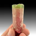 Elbaite from Himalaya Mine, San Diego County, California, USA - image 1
