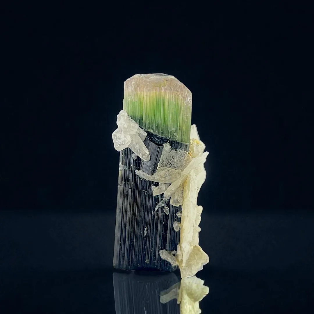 Elbaite from Pakistan, Gilgit-Baltistan, Roundu District, Haramosh Mts., Stak Nala - image 1