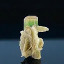 Elbaite from Pakistan, Gilgit-Baltistan, Roundu District, Haramosh Mts., Stak Nala - image 2