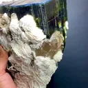 specimen video