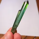 specimen video