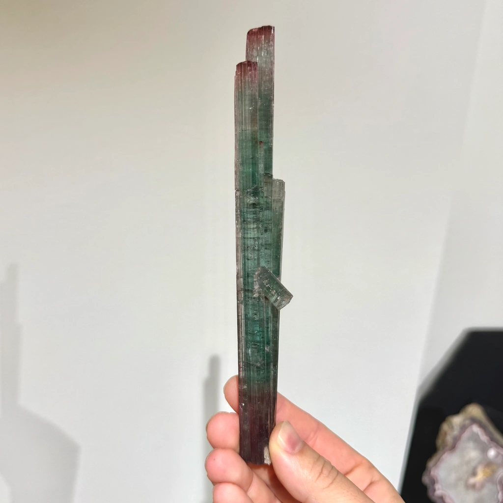 Elbaite from Pederneira mine, São José da Safira, Minas Gerais, Brazil image