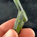 Elbaite from Santa Rosa Mine, Minas Gerais, Brazil - image 2