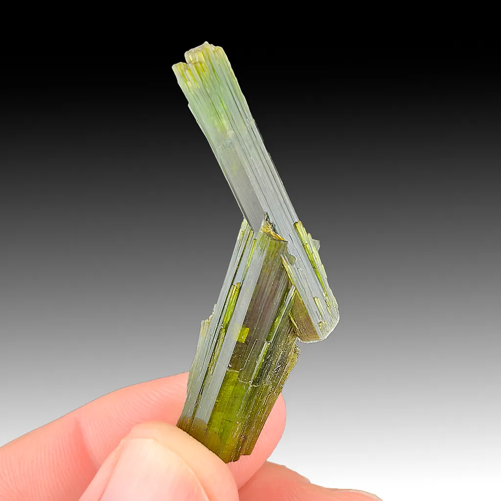 Elbaite from Santa Rosa Mine, Minas Gerais, Brazil image