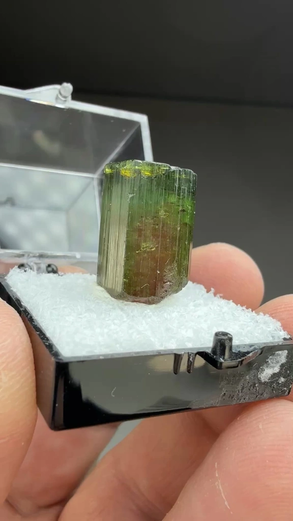 Elbaite from São José da Safira, Minas Gerais, Brazil - image 2