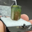 Elbaite from São José da Safira, Minas Gerais, Brazil - image 2