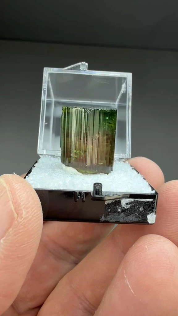 Elbaite from São José da Safira, Minas Gerais, Brazil - image 2
