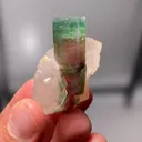 specimen video