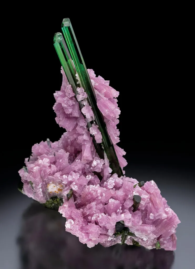 Elbaite, Lepidolite image