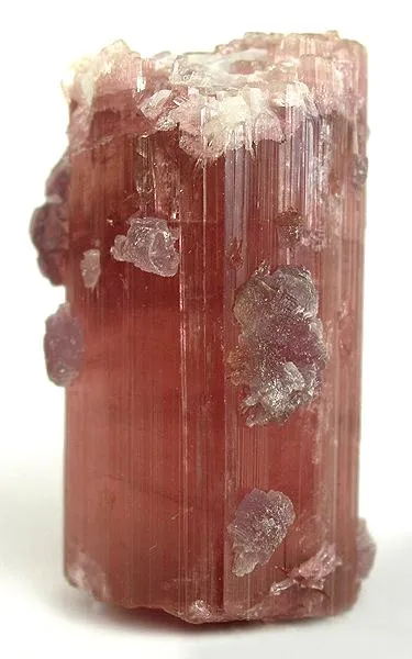 Elbaite, Lepidolite image