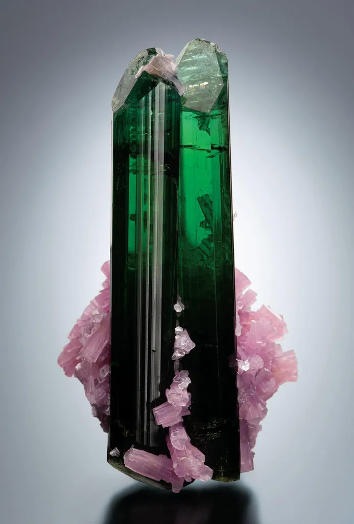 Elbaite, Lepidolite image