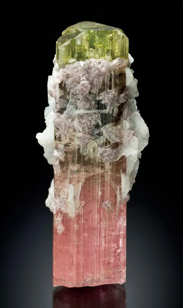 Elbaite, Lepidolite, Albite image