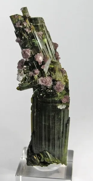 Elbaite, Lepidolite, Albite image