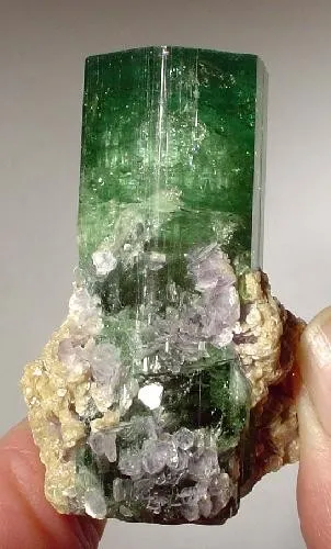 Elbaite, Lepidolite image