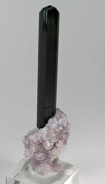 Elbaite, Lepidolite image