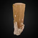 Elbaite, Muscovite - image 1