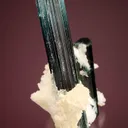 Elbaite on Albite var. Cleavelandite - image 2