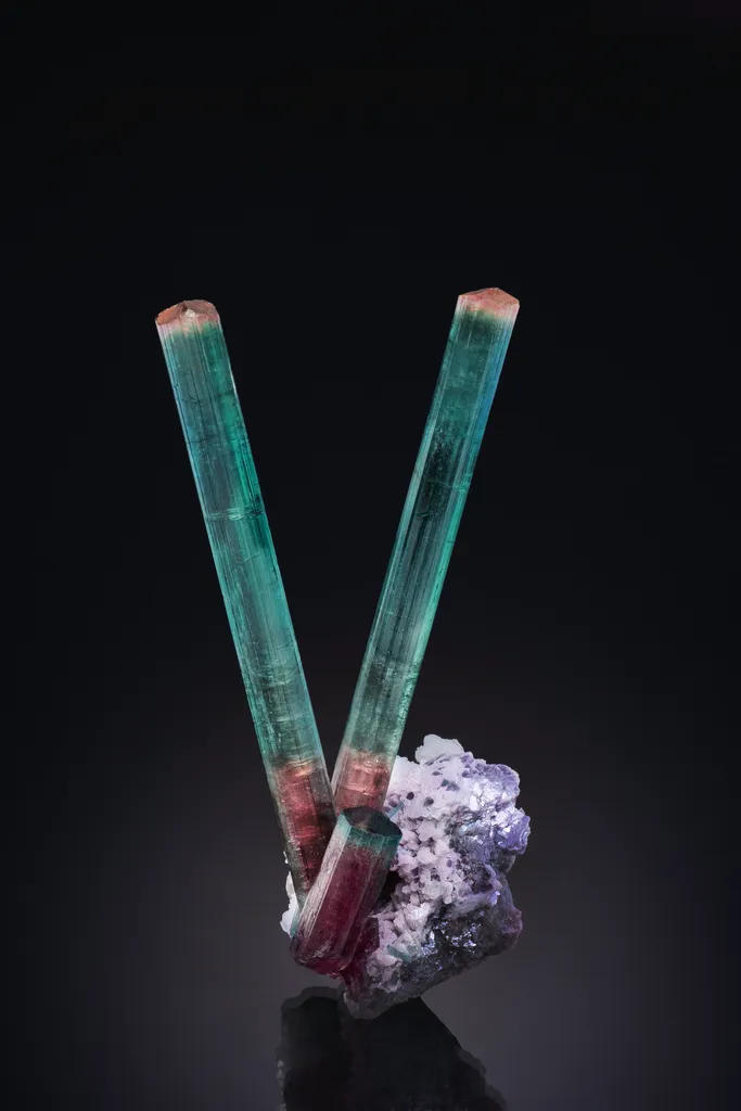 Elbaite on Cleavelandite & Lepidolite image
