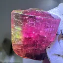 Elbaite on Matrix from Barra do Salinas with Custom Stand - 10038 - image 6