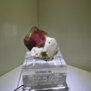 Elbaite on Matrix from Barra do Salinas with Custom Stand - 10038 - image 8
