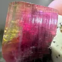 Elbaite on Matrix from Barra do Salinas with Custom Stand - 10038 - image 3