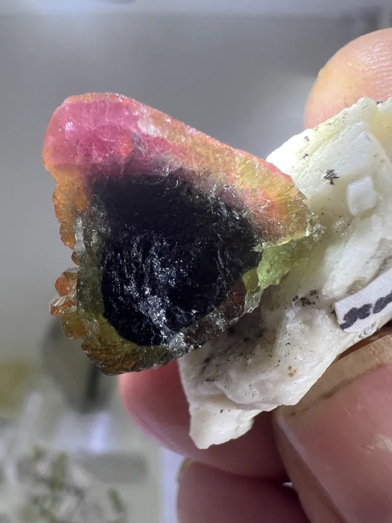 Elbaite on Matrix from Barra do Salinas with Custom Stand - 10038 - image 4
