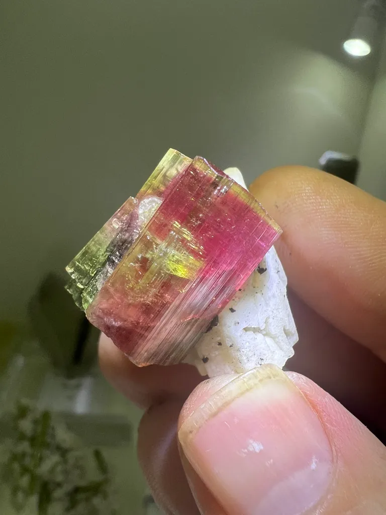 Elbaite on Matrix from Barra do Salinas with Custom Stand - 10038 - image 7