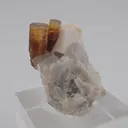 Elbaite on matrix of Feldspar - image 2