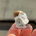 Elbaite on matrix of Feldspar - image 5