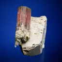 Elbaite on Microcline - image 2