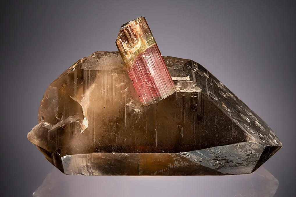 Elbaite on Quartz image
