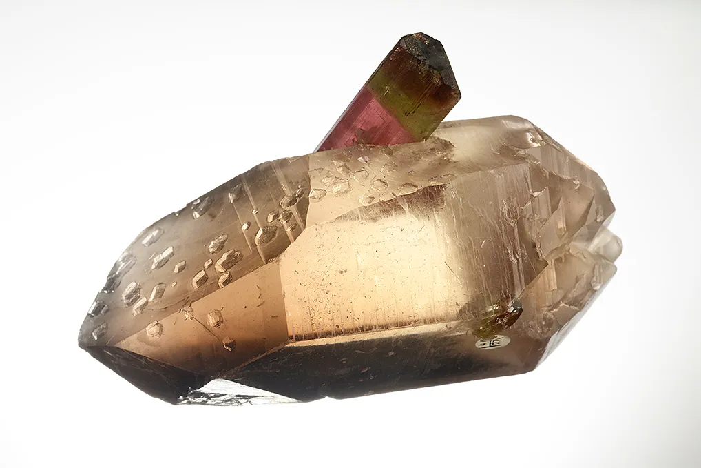 Elbaite on Quartz - image 3