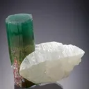 Elbaite on Quartz Tourmaline - image 1