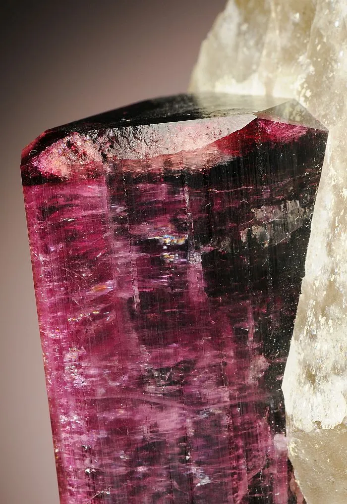Elbaite on Quartz var. Smoky - image 5