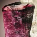 Elbaite on Quartz var. Smoky - image 5