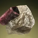 Elbaite on Quartz var. Smoky - image 1