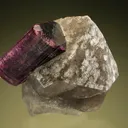 Elbaite on Quartz var. Smoky - image 2
