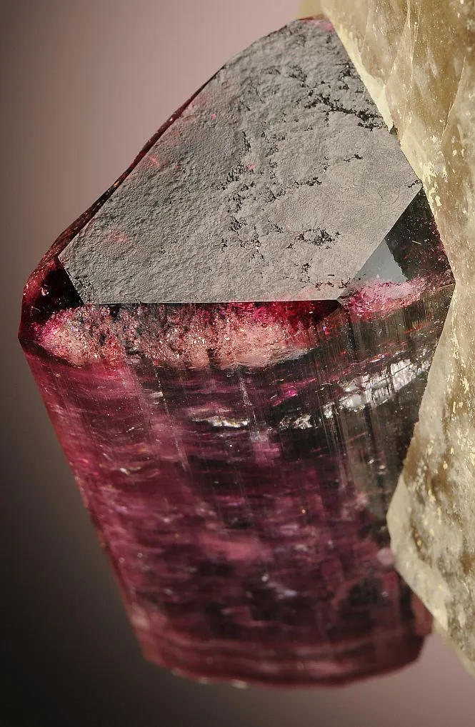 Elbaite on Quartz var. Smoky - image 4