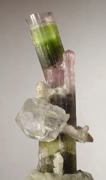 Elbaite, Quartz, Albite (Var: Cleavelandite) image