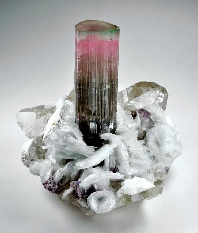 Elbaite, Quartz, Cleavelandite, Orthoclase, Lepidolite image
