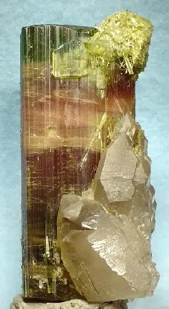 Elbaite, Quartz (Var: Smoky Quartz) image